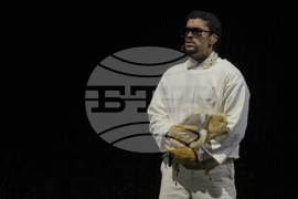 Puerto Rico Bad Bunny