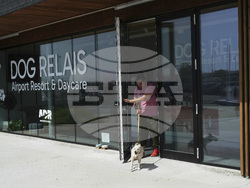 Italy Airport Dog Hotel