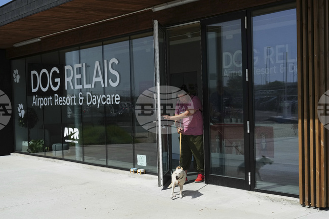 Международното летище в Рим отвори хотел за кучета с множество екстри