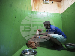 Italy Airport Dog Hotel