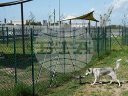 Italy Airport Dog Hotel