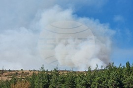 Горни Романци - местността „Мечи камък“ - пожар