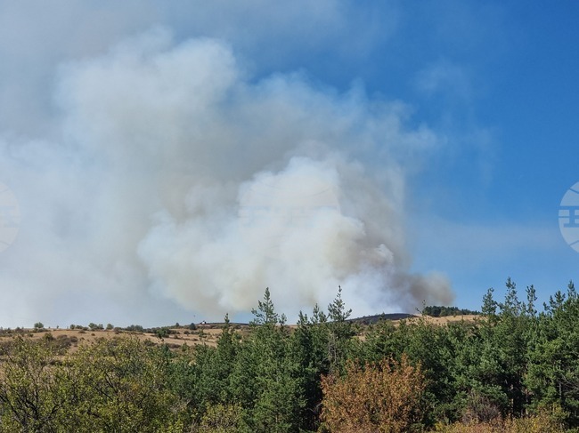 Пожар гори в местността "Мечи камък" над брезнишкото село Горни Романци