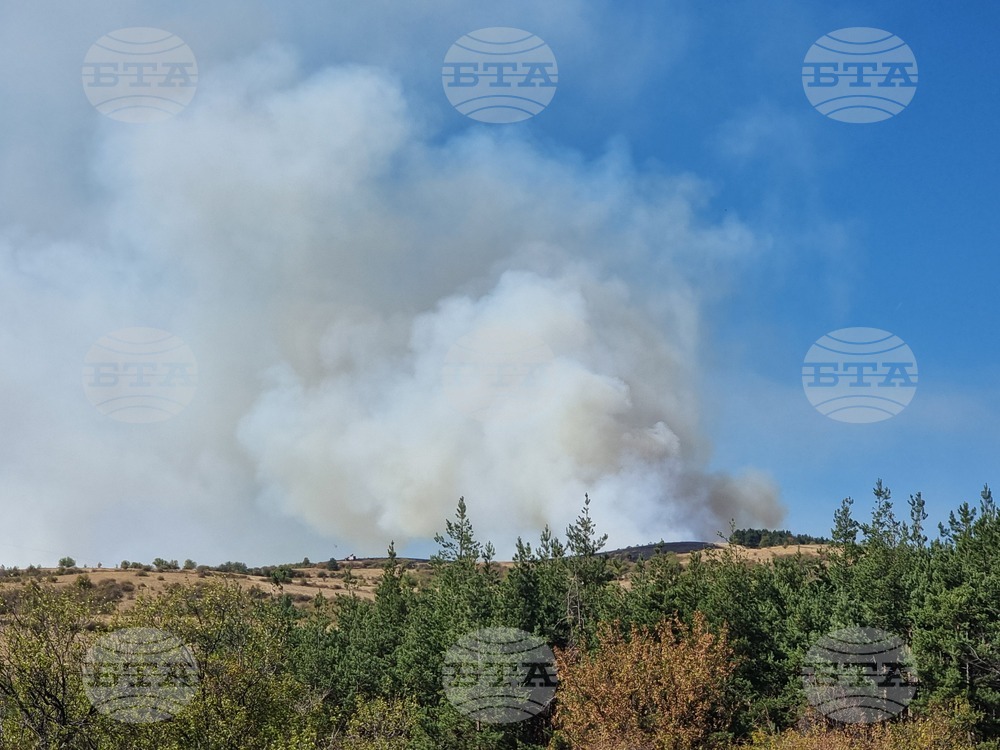 Горни Романци - местността „Мечи камък“ - пожар