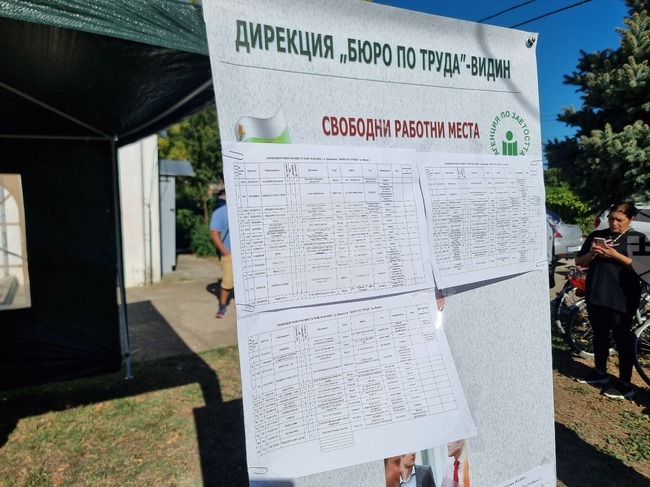 Общо шест свободни работни места за застрахователен агент са обявени във Видин