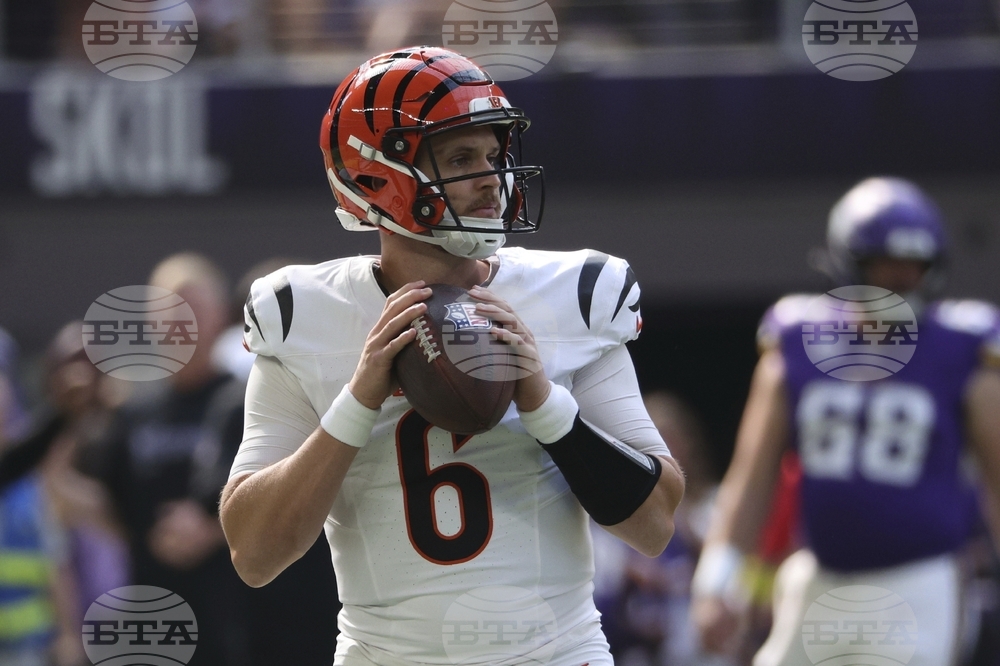 Bengals Vikings Football