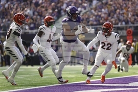 Bengals Vikings Football