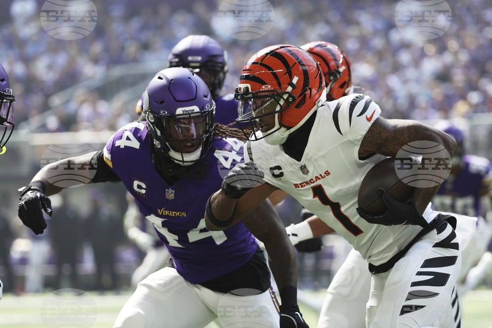 Bengals Vikings Football
