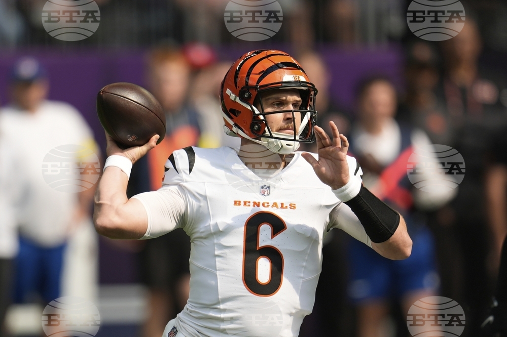 Bengals Vikings Football