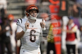 Bengals Vikings Football