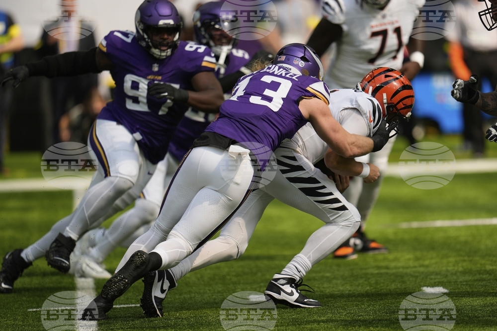 Bengals Vikings Football