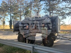 Снимка: Община Кубрат