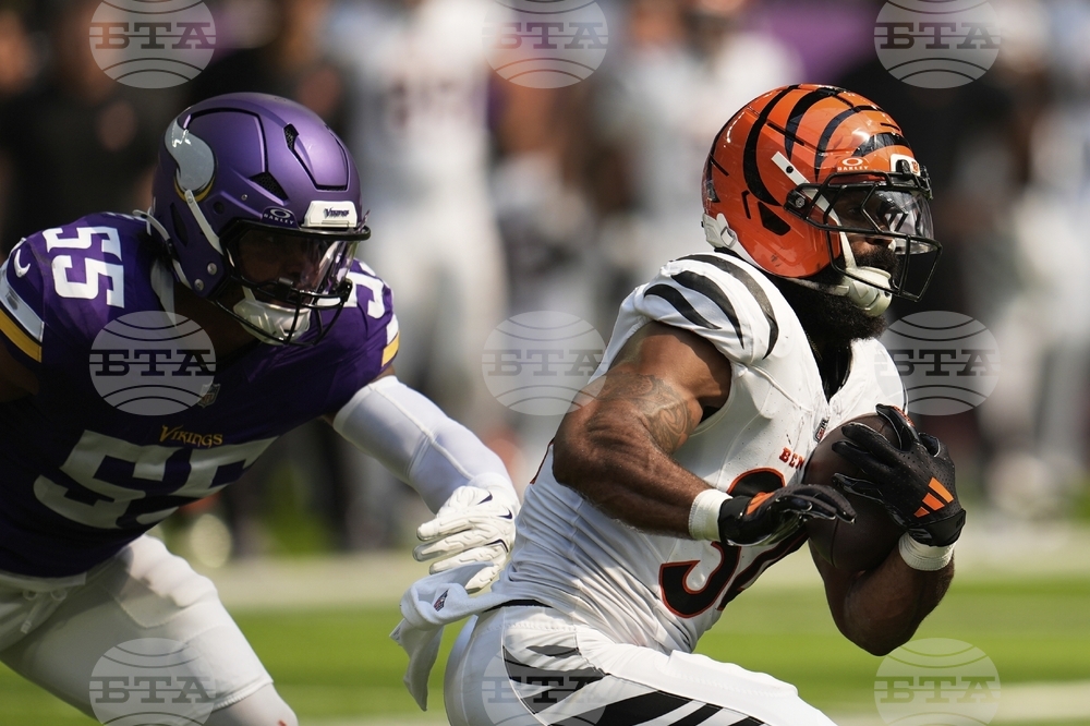 Bengals Vikings Football