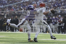 Bengals Vikings Football