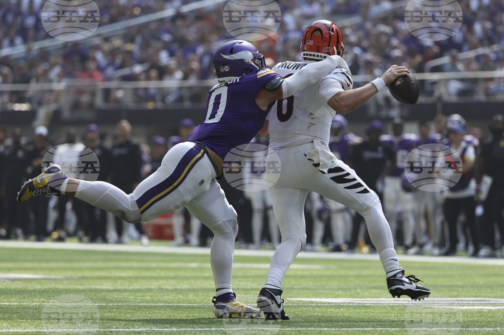 Bengals Vikings Football