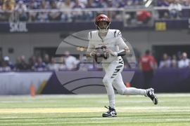 Bengals Vikings Football