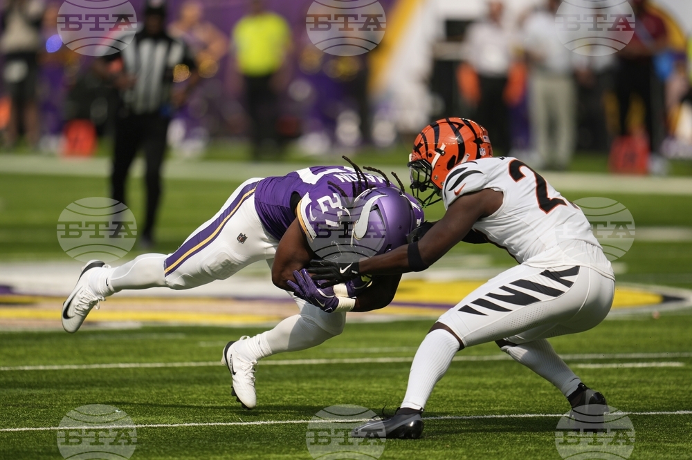 Bengals Vikings Football