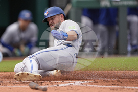 Blue Jays Royals Baseball