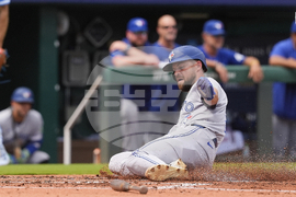 Blue Jays Royals Baseball