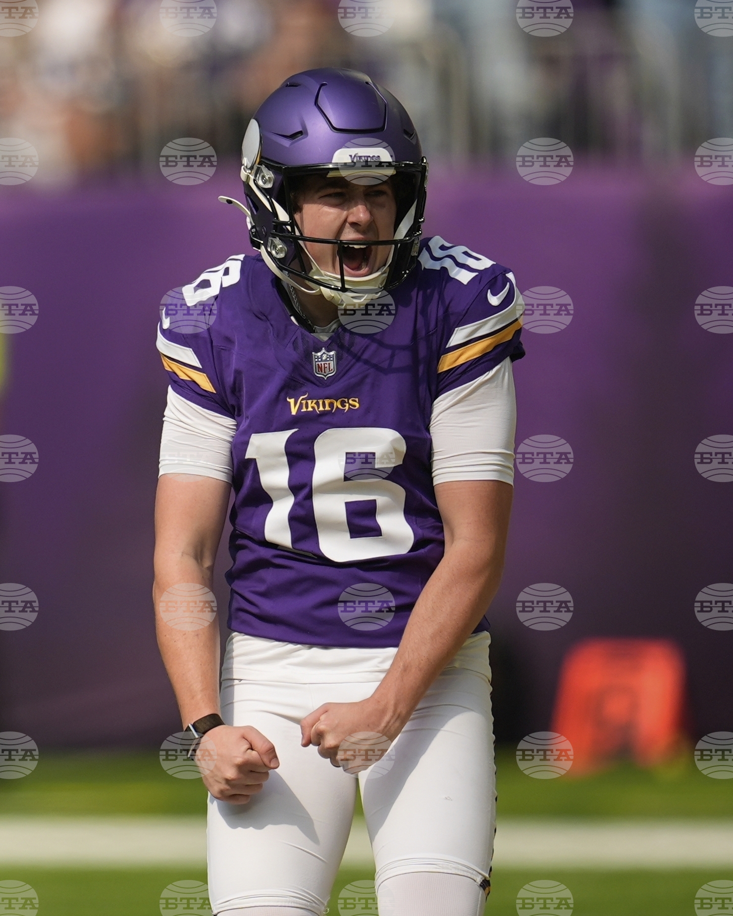 Bengals Vikings Football