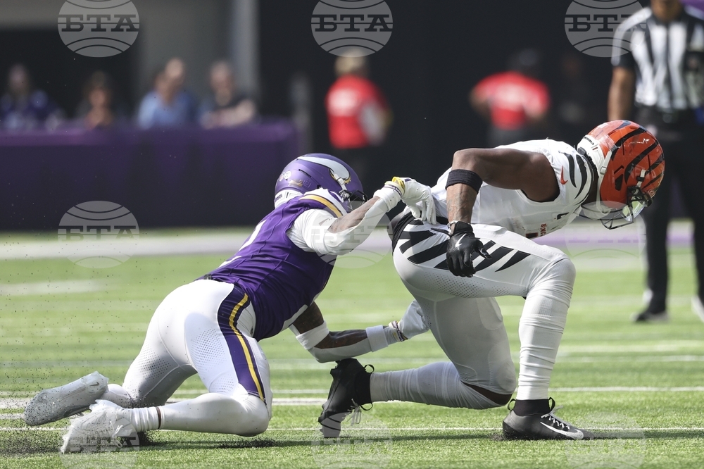 Bengals Vikings Football