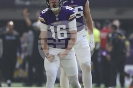 Bengals Vikings Football