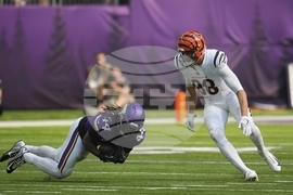 Bengals Vikings Football