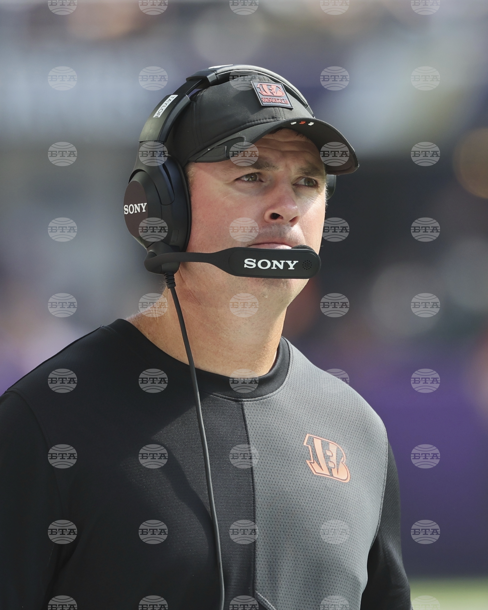 Bengals Vikings Football