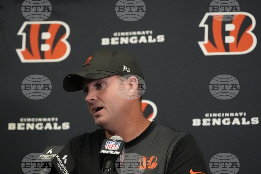 Bengals Vikings Football