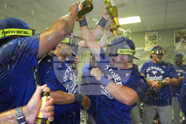 Blue Jays Royals Baseball