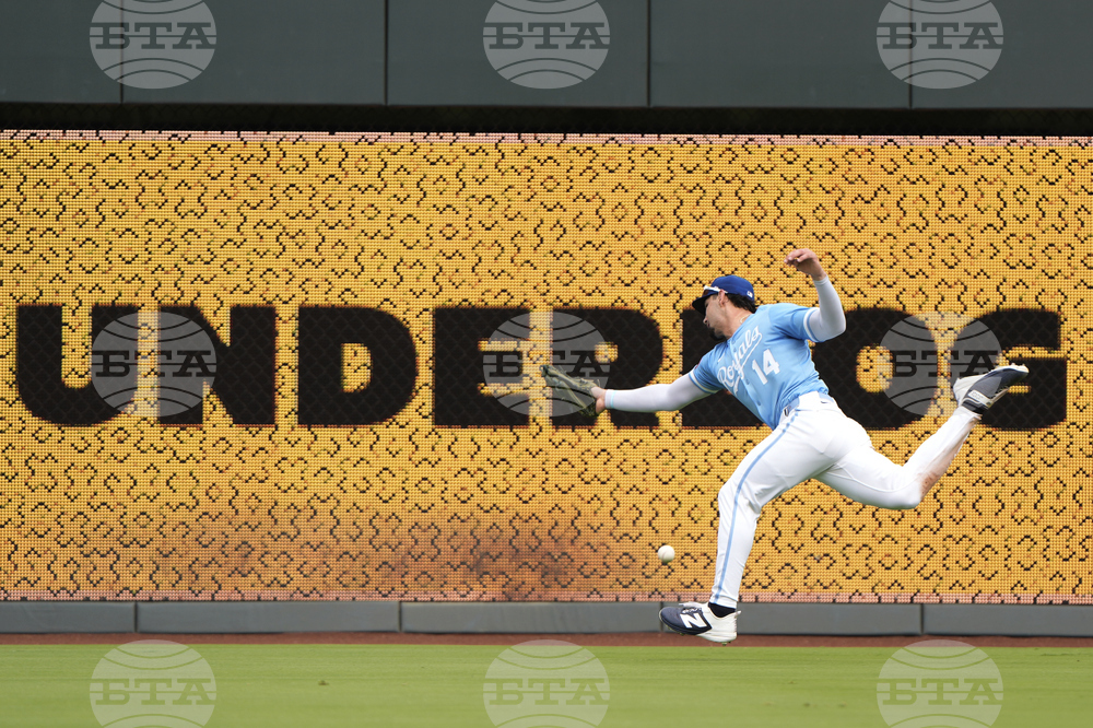 Blue Jays Royals Baseball