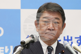 Japan Politics Explainer