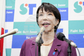 Japan Politics Explainer