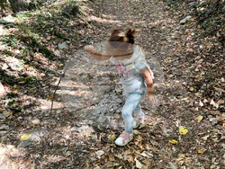 Търговище - Ден на независимостта - празник в местността Парка