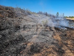 Монтана - пожар