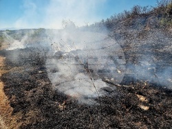 Монтана - пожар