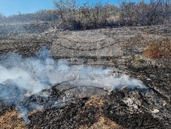 Монтана - пожар