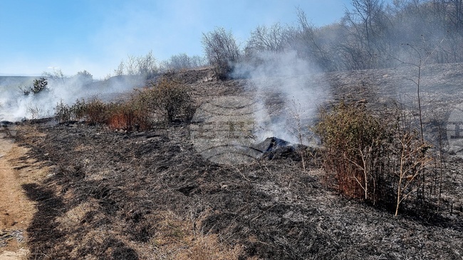 Над 200 дка сухи треви и храсти и около 35 дка гора са изгорели при два пожара в Ловешка област
