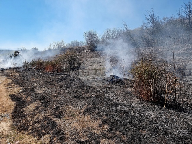 Над 200 дка сухи треви и храсти и около 35 дка гора са изгорели при два пожара в Ловешка област