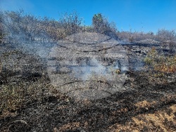 Монтана - пожар