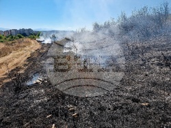 Монтана - пожар