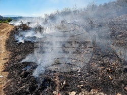 Монтана - пожар