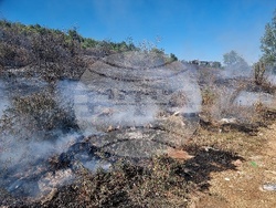 Монтана - пожар