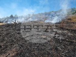 Монтана - пожар