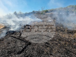 Монтана - пожар