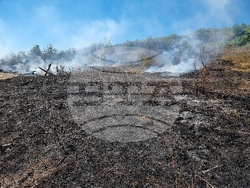 Монтана - пожар