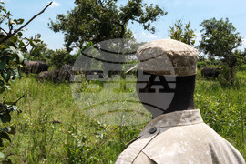 Uganda World Rhino Day