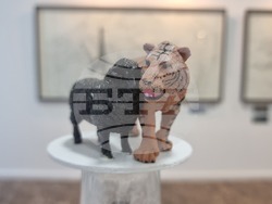 Северна Македония - Лъчезар Бояджиев - изложба