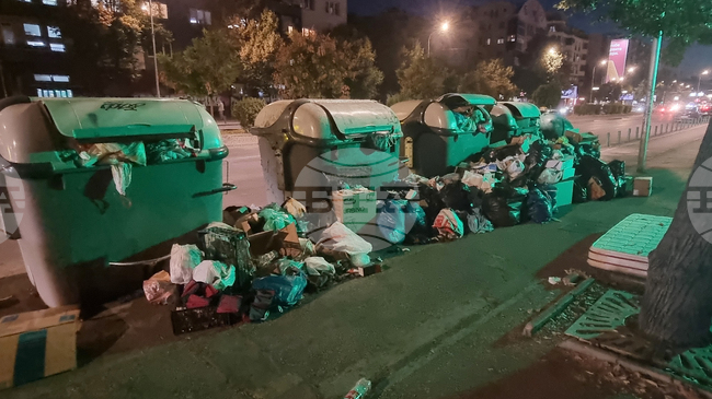 Градският съвет на Скопие забрани да се изхвърля боклук през нощта, нарушителите ще бъдат глобявани