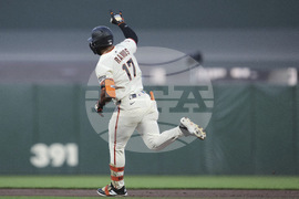 Cardinals Giants Baseball